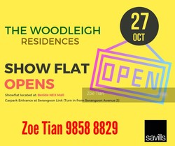 The Woodleigh Residences (D13), Apartment #183136392